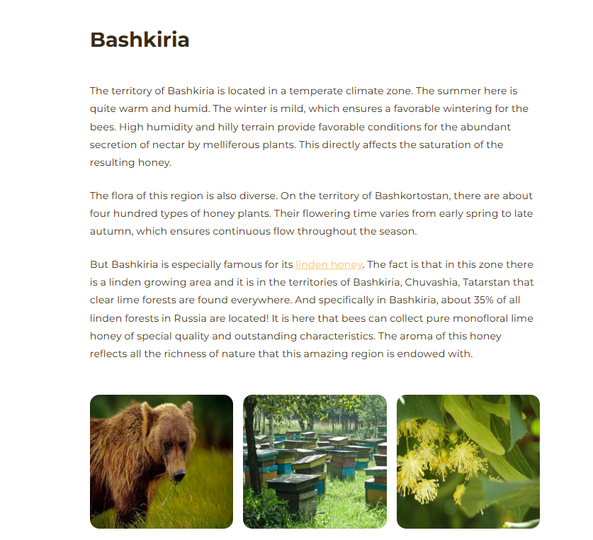 バシキリア 天然蜂蜜 非加熱 リンデンの花(百花蜂蜜 ・リンデン系) (2月末入荷予定)