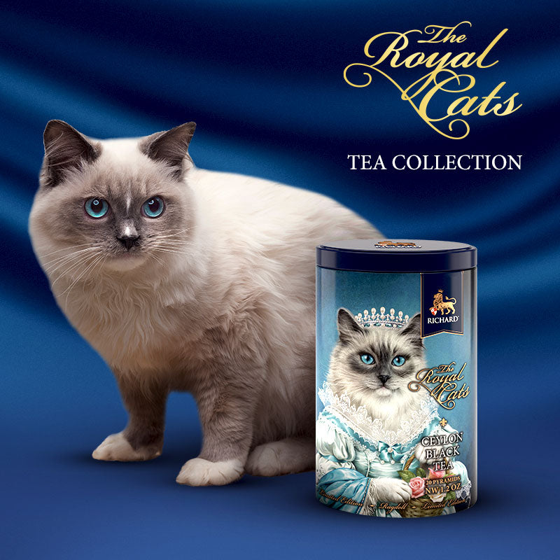 「ザ・ロイヤル・キャッツ」缶入りセイロン紅茶 (10月入荷予定)