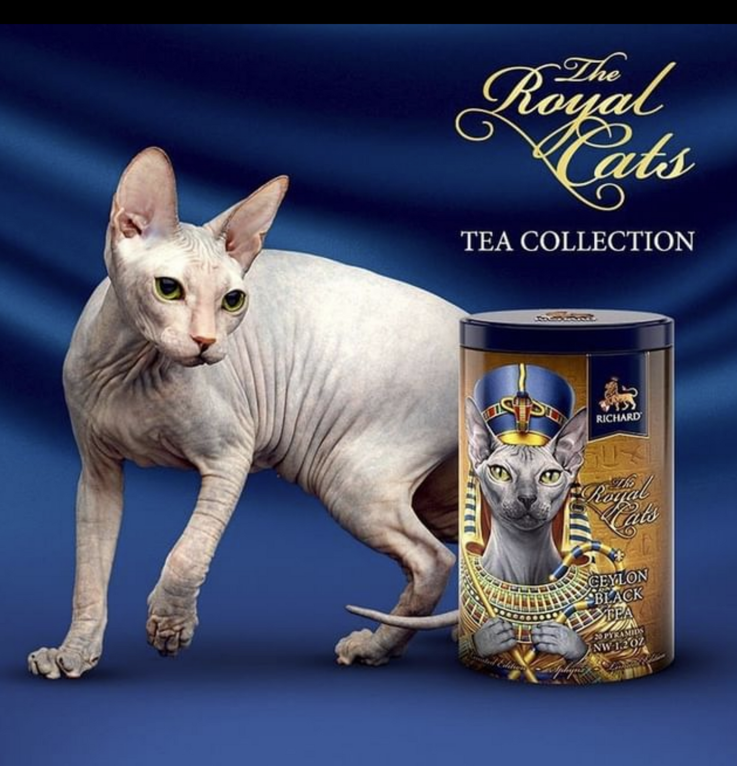 「ザ・ロイヤル・キャッツ」缶入りセイロン紅茶