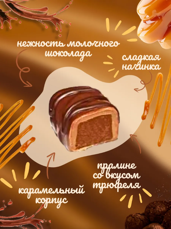 「チョコナトカ」トリュフチョコレート菓子 （ プラリネ）　