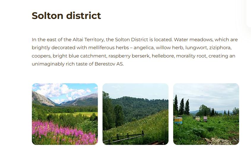 アルタイ地方　天然蜂蜜 アンジェリカの花　非加熱（百花蜂蜜 ・アンジェリカ系）（2月末入荷予定）