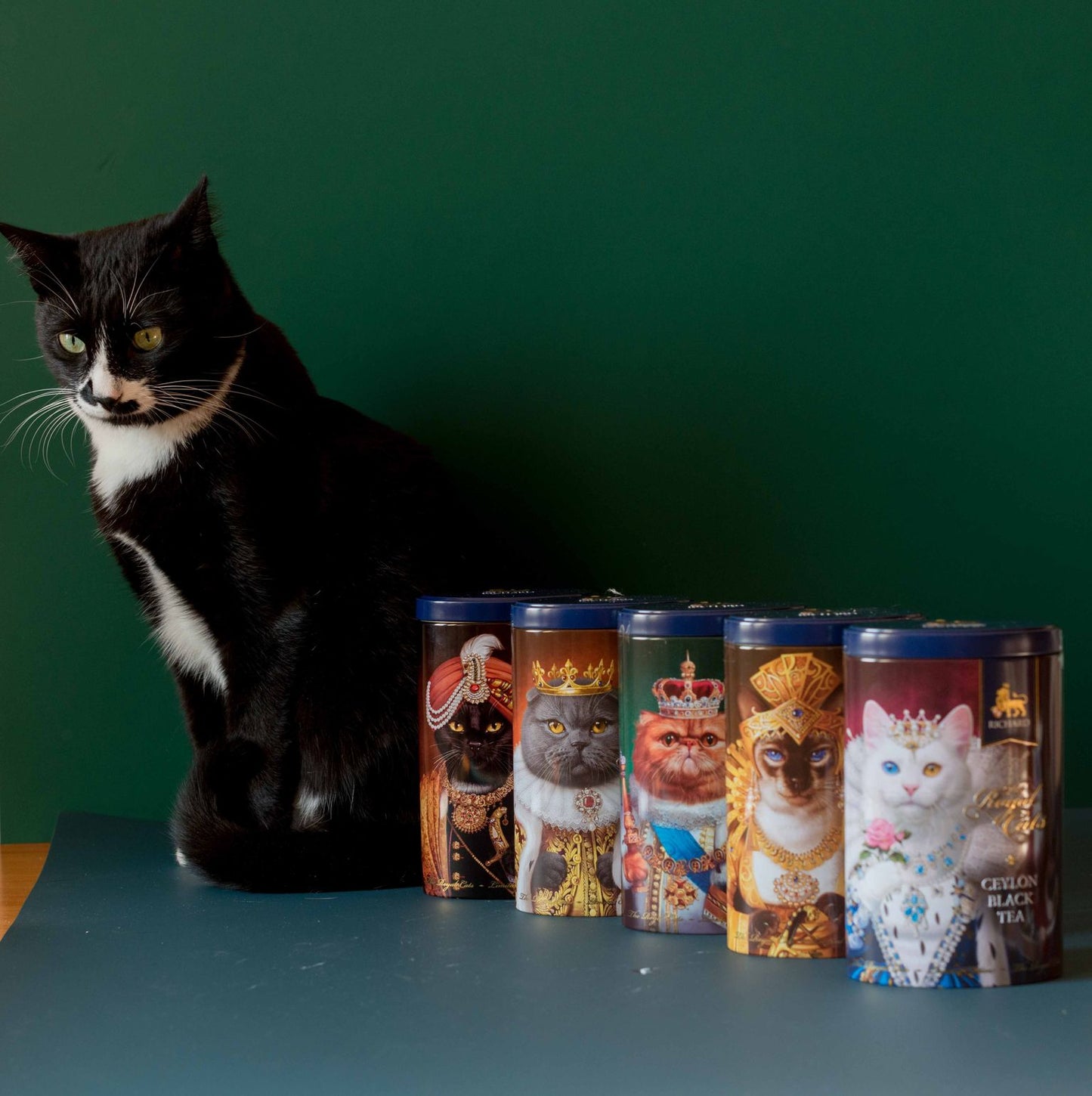 「ザ・ロイヤル・キャッツ」缶入りセイロン紅茶